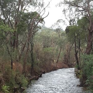 Meet your Posher, Cleo